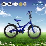 Cool Kids Bike for 6 Years Old Boy in Sale