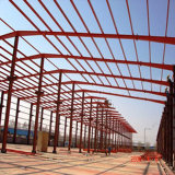 Newest Professional Steel Structure Portable Buildings (WSDSS003)