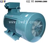 Y2 Electric Motor