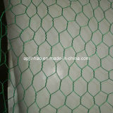 Supply High Quality Hexagonal Wire Netting