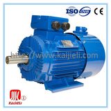 Y2 Series Electric Motor, Induction Motor, AC Motor