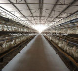 Galvanized Poultry Chicken Cage