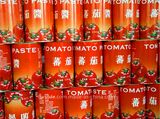 100% Fresh Tomato China Factory Export Drum Tomato Paste Fruit