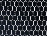 Galvanized Hexagonal Wire Mesh for Chicken