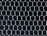 Galvanized Hexagonal Wire Mesh for Chicken