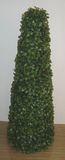 Boxwood Round Pyramid (PG11696-60)