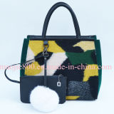 Popular Fashion Handbag for Lady (MJ-H20131110)
