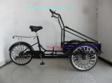 New Developed Ice Cream Tricycle