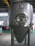 Beer Beverage Processing Equipment /Fermenters