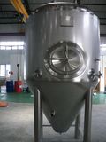 Beer Beverage Processing Equipment /Fermenters