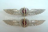 Silver Plating Screw Cap Wing Badge