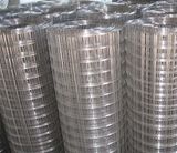 Stainless Steel Welded Wire Mesh