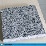60X60 Pearl Flower China Granite