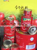 Tomato Paste