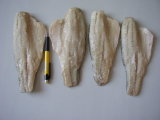 Tilapia Fillet Products