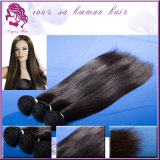 Top Quality Factory Price Brazilian Virgin Human Hair Extension Silk Straight Hair