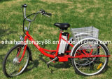 E-Tricycle with Good Quality for Hot Sale