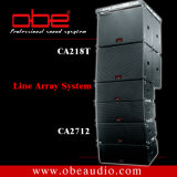 Outdoor Line Array System (OBE Audio) 