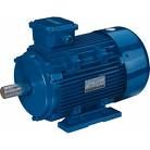 3 Phase Induction Motor