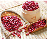 2015 China Top Quality Organic Dried Small Red Mung Bean
