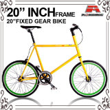 20 Inch Fixed Gear Bicycle for Yonger (ADS-RD20-2)