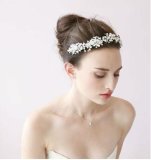 Fashion Jewelry Beautiful Crystal Bridal Hair Accessories (FS2501)