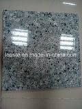 New Products Polished Qasia Auzl Granite Wall or Flooring Tile Promotion