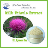 China Wholesale Best Quality Milk Thistle PE 80% Silymarin