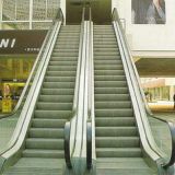 Gre20 Escalator's Maximum Rise Is up to 10 Meters