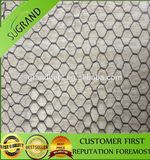 Hot Sale Diamond Bird Net and Anti Bird Netting