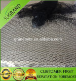 Anti Bird Protection Net with UV for Agriculturel Plants Protection Net