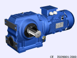 S Series Electric Motor with Reduction Gear