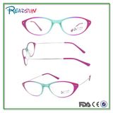 New Plastic Reading Glasses /Reader/Eyewear Glasses Made in Wenzhou