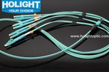 MPO/LC 8c Patch Cords