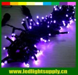 220V Outdoor LED String Light Decoration