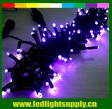 220V Outdoor LED String Light Decoration