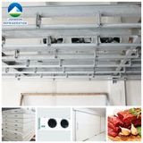 Meat Cold Storage with PU Panel