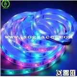 Good Quality Best Prices LED Flexible Strip Light 5050