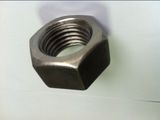 Hex Nut