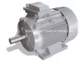 CE Ie2 Y2 Three Phase Electric Motor