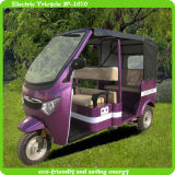 New Economic and Fashionable Adult Electric Tricycle