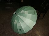 Umbrella