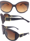 Fashion High Quality Metal Sunglasses, Metal Decorate Sunglasses (SG018)