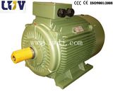 Y2 Electric Motor