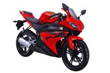 125cc 200cc 250cc EEC Street Motorcycle (HDM250E-21)