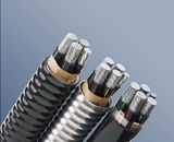 Rare Earth Aluminum Alloy Cable