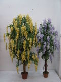 Artificial Plants and Flowers of Westeria Tree 210cm Gu-Bj-130-2240-120yellow