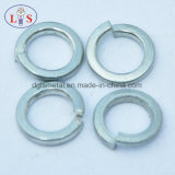 Fastener/Washer/Spring Washer with Good Quality