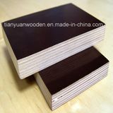 Red Pine Shuttering Film Faced Poplar Plywood