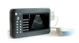 Hand Held Ultrasound Medical Equipments Good Price From China
